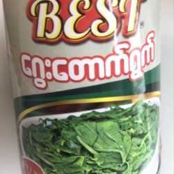 Best Cotton milk plant leaves/ Lá cây sữa bông