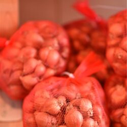 HÀNH TÍM/エシャロット