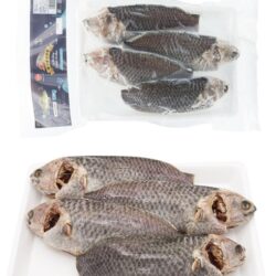 CÁ RÔ ĐỒNG/キノボリウオ