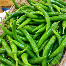 ỚT XANH TƯƠI 300g/青唐辛子