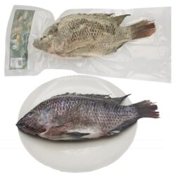 CÁ RÔ PHI NGUYÊN CON/ティラピア