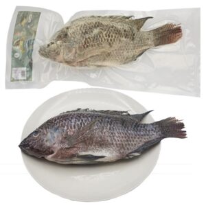 CÁ RÔ PHI NGUYÊN CON/ティラピア