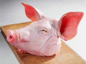 THỦ HEO/豚の頭