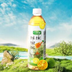 TRÀ COZY TẮC MẬT ONG/コージー茶カラマンシー蜂蜜入り