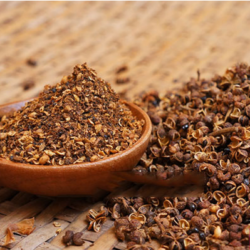 HẠT MẮC KHÉN/マックケン