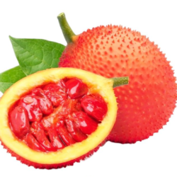 RUỘT GẤC ĐÔNG LẠNH/ガックの果肉