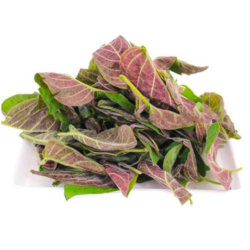 LÁ MƠ/ラーモー