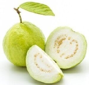 QUẢ ỔI/グアバ