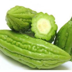 MƯỚP ĐẮNG/苦瓜