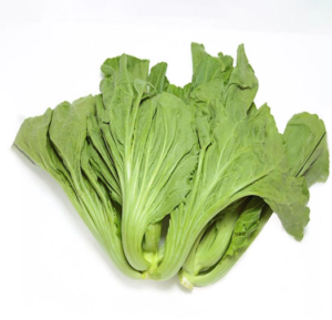 CẢI MUỐI DƯA/たかなづけ