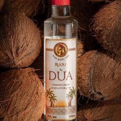 RƯỢU DỪA 29% NAM QUỐC TỬU