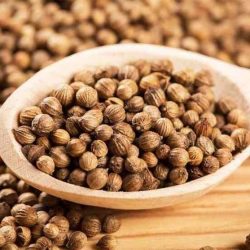 HẠT NGÒ RÍ/コリアンダー種 25G