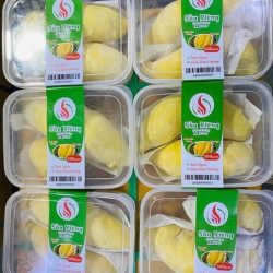 SẦU RIÊNG/ドリアン
