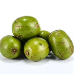 CÓC BAO TỬ TÚI 300g /タマゴノキ