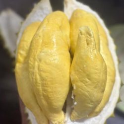 SẦU RIÊNG TƯƠI/生ドリアン