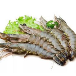 TÔM THẺ ĐÔNG LẠNH 2KG