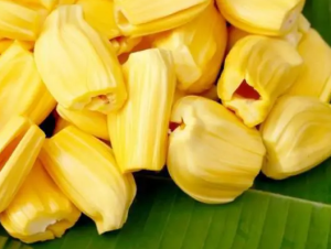 MÍT TƯƠI TÁCH MÚI 冷凍ジャックフルーツ