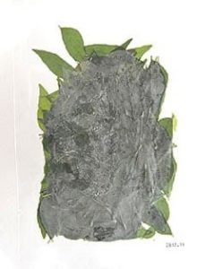 カレーリーフ( Daun Kary ) Curry Leaves 20g