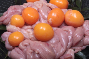 TRÀNG TRỨNG/鶏卵の卵管
