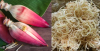 HOA CHUỐI THÁI SẴN/バナナの花の千切り