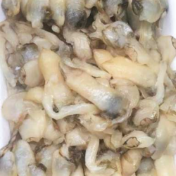 ỐC MÓNG TAY ĐÔNG LẠNH