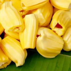 MÍT TƯƠI TÁCH MÚI 冷凍ジャックフルーツ