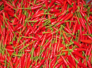 ỚT ĐỎ TƯƠI 250G /赤唐辛子250G