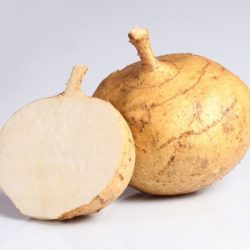 CỦ ĐẬU/ヒカマ