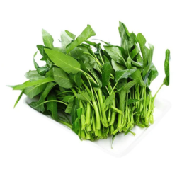 RAU MUỐNG/空心菜/ Water Spanish